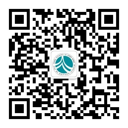 50-1P9101541133E